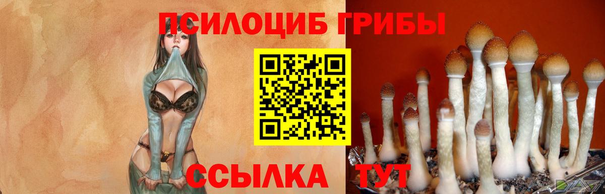 Псилоцибиновые грибы Magic Shrooms  дарнет шоп  Сафоново  Вход с VPN 